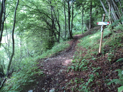 O653-ldp008-00-p1-170627-GM