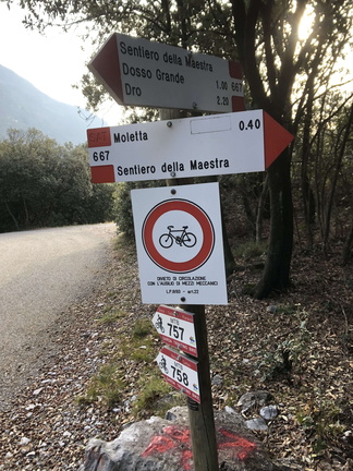 O667-ldp006-00-d01-240114-ED (193 visite) O667-ldp006-00-d01-240114-ED