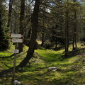 E101-ldp006-01-p1-160522