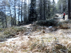 E102A-ldp001-00-p2-160526