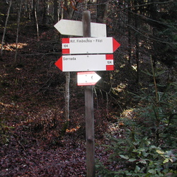 E104