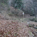 E106-ldp003-00-p6 (19 visite) E106-ldp003-00-p6