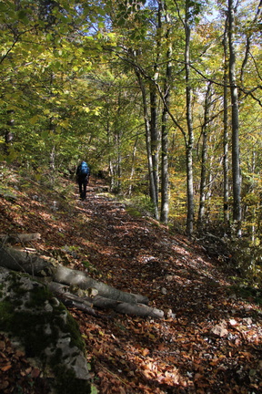 E107-107-111020-Finonchio-td-07 (27 visite) E107-107-111020-Finonchio-td-07