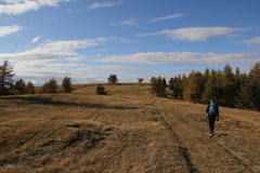 E107-117-111020-Finonchio-td-15
