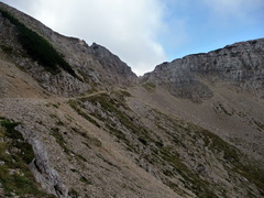 E108-verso-Rif-Fraccaroli-P1010646