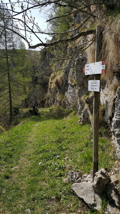 E110-ldp005-00-p1-210516-FM (81 visite) E110-ldp005-00-p1-210516-FM