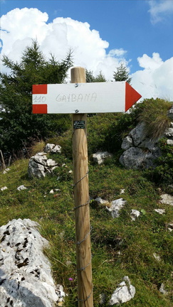 E110-ldp005-01-d2-160816-FM (38 visite) E110-ldp005-01-d2-160816-FM