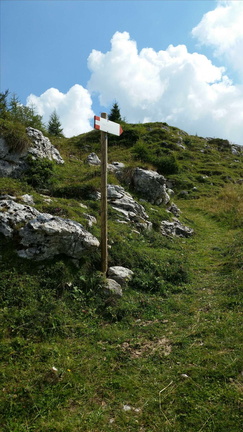 E110-ldp005-01-p2-160816-FM (8 visite) E110-ldp005-01-p2-160816-FM