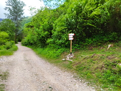 E111-ldp001-00-p02-210523-VD