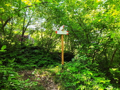 E111-ldp005-00-p02-210523-VD