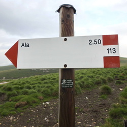 E113