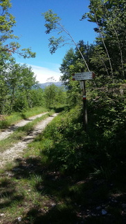 E115-ldp004-00-p2-160527