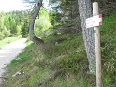 E115-ldp009-00-p2-160606-MR