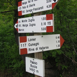 ldp