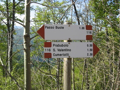 E116-ldp004-01-d1-160421-PGC