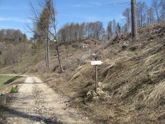 E116-ldp007-00-p1-210416-PGC