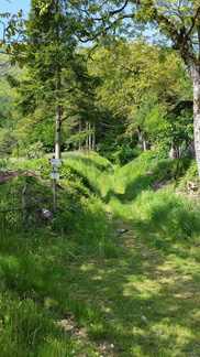 E117-ldp001-00-p3-160521