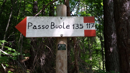 E117-ldp001-05-d1-160521