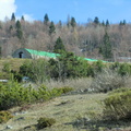E119-0105-160410-stallone-malga-Monticello