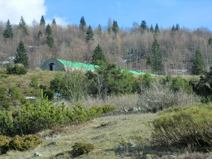 E119-0105-160410-stallone-malga-Monticello