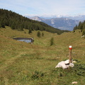 E122-0104-td-55