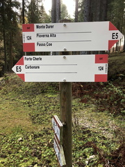 E124-ldp008-40-d01-221111-ED