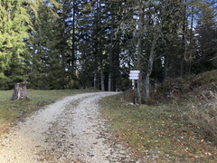 E124-ldp009-00-p02-221111-ED