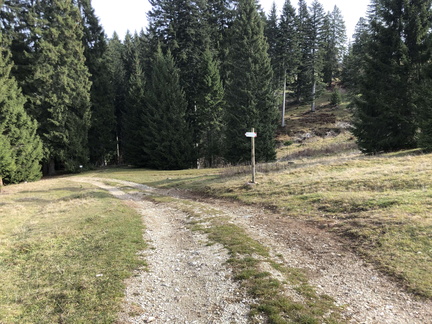 E124-ldp012-00-p01-221111-ED