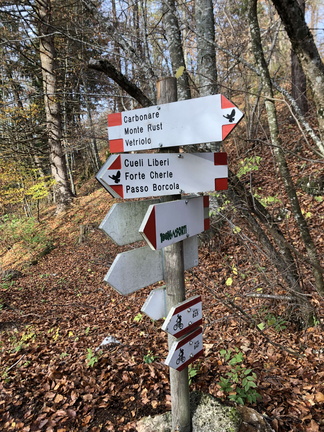 E124-ldp015-10-d02-221111-ED (74 visite) E124-ldp015-10-d02-221111-ED