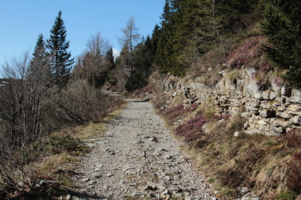 E124-PassoCoe-MonteMaggio-3-td