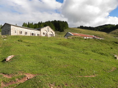 E131A-0102-100926-TD-02