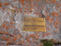 E131A-0114-targadedica