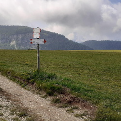 E132