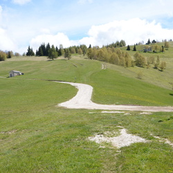 sentiero