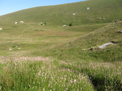 E132-0111-Alpe-Alba-160520