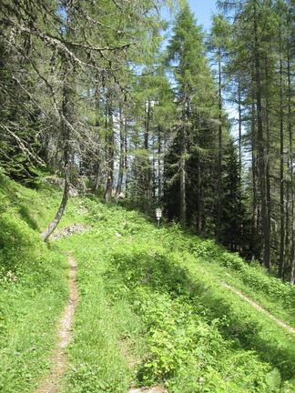 E133-ldp002-00-p02-170709