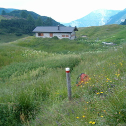 E134