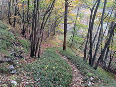 01-IMG-20231101-080831