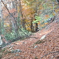 06-IMG-20231101-091031