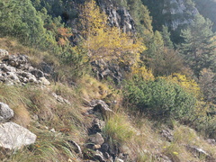 07-IMG-20231101-092927