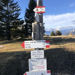 E136