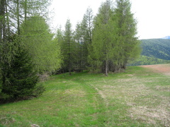 E136-IMG-0010