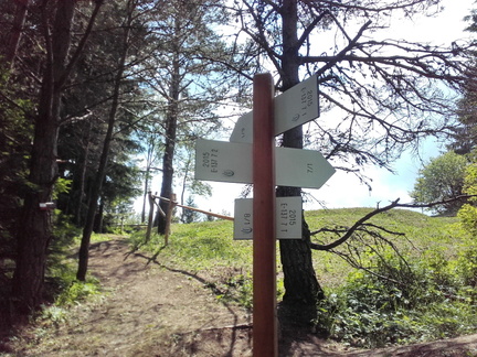 E137-ldp007-00-d02-160630