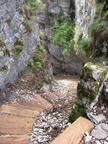E137-IMG-6098