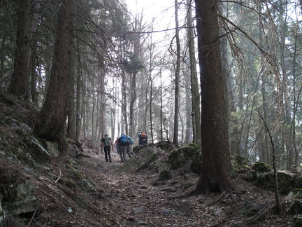 E138-116-soprall-150416-43