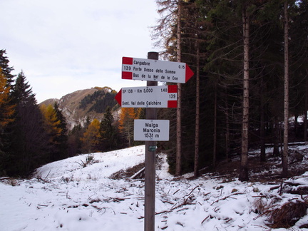 E139-ldp002-00-d1-171111-EG-0019