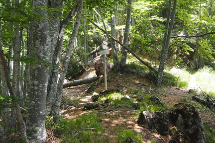 E143-ldp004-00-p01-200611-FB