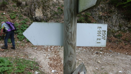 E144-ldp002-00-d04-260516