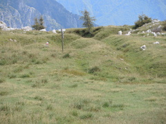 E147-ldp001-00-p01-20809-LB