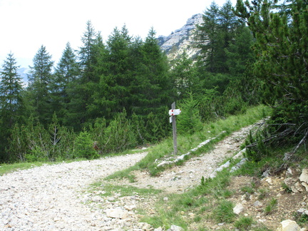 E147-ldp003-00-p01-170709